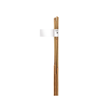 3 Tutori din bambus, 120 cm, 10-12 mm