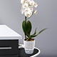 Ghiveci Santino Orchidea Twin, plastic, transparent, diametru 32 cm, 25 cm