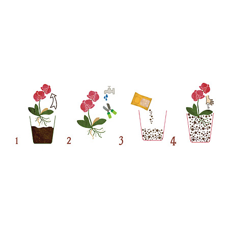 Substrat Dr. Soil, pentru orhidee Phalaenopsis, 1l Substrat Dr. Soil, pentru orhidee Phalaenopsis, 1l