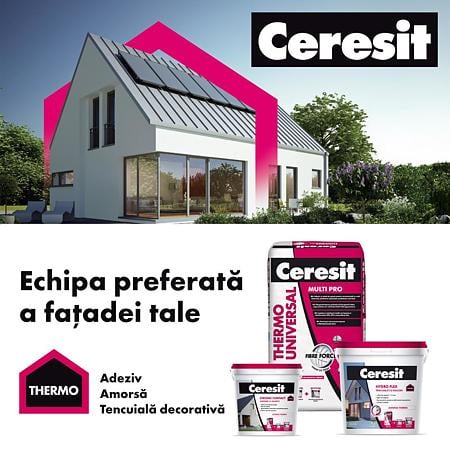 Tencuiala decorativa cu silicon Ceresit Hydro Flex, aspect praf de piatra, granulatie 1.5 mm, interior/exterior, Nebraska4, 25 kg