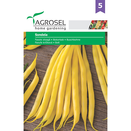 Seminte fasole Agrosel Sondela, 30 g