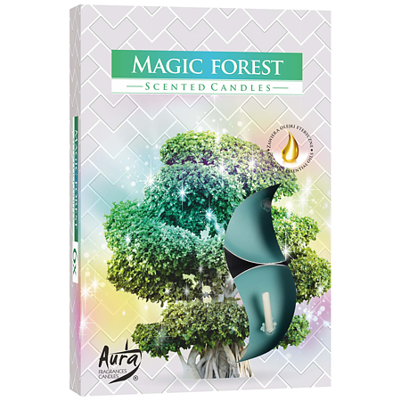 Set 6 lumanari parfumate tip pastila, verde, magic forest