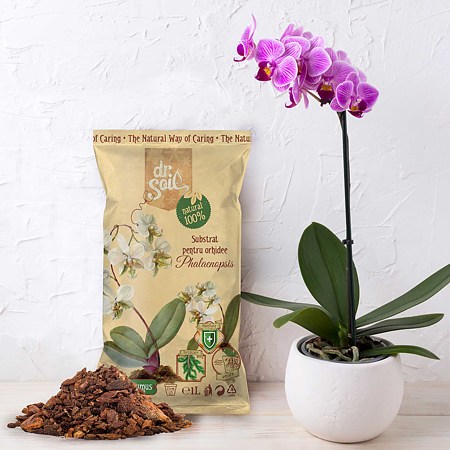 Substrat Dr. Soil, pentru orhidee Phalaenopsis, 1l Substrat Dr. Soil, pentru orhidee Phalaenopsis, 1l