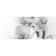 Faianta decorativa Keramin Elegy 7-tip 2, lucioasa, stil elegant, alb/negru, 20 x 50 cm
