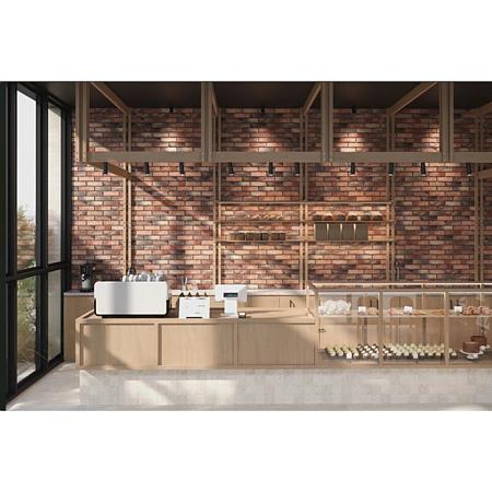 Caramida aparenta Cemacon DR5202, interior/exterior, roscat, grosime 9 mm, 240 x 71 mm