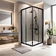 Cabina de dus Sanotechnik Elite Ecoblack, patrata, sticla 6 mm, Easy-Clean, profile aluminiu negre mate, 90 x 90 x 208 cm