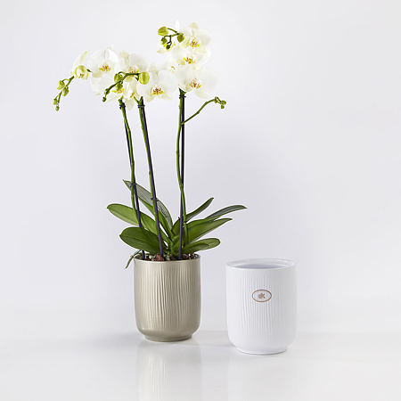 Ghiveci SK Falun Glamour, ceramica, gri bej metalic, diametru 15 cm, 15 cm 