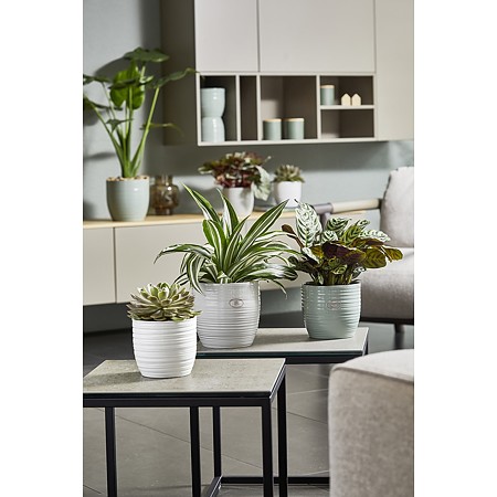 Ghiveci SK Bergamo Pure, ceramica, alb lucios, diametru 16 cm, 15 cm