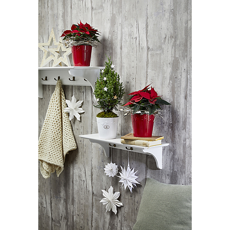 Ghiveci SK Starlight, ceramica, auriu, diametru 14 cm, 13 cm