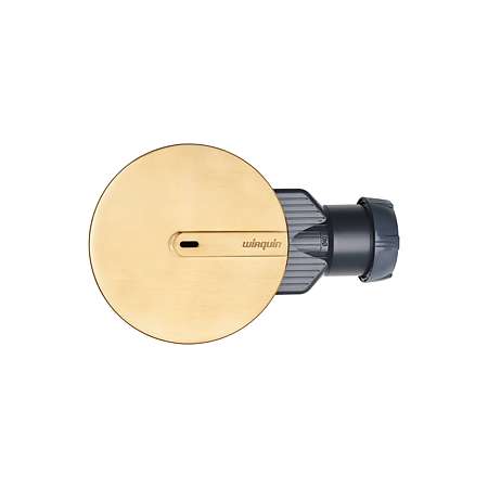Capac tip DOM pentru sifon Wirquin SLIMPlus, din ABS, auriu periat, Ø118 mm
