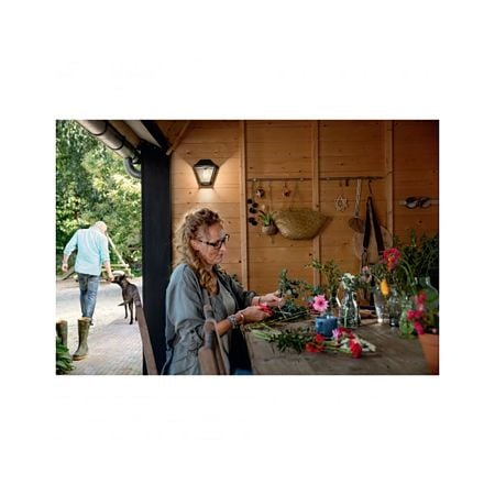  Aplica exterior Philips Alpenglow, negru, 1xE27, 42 W, IP44