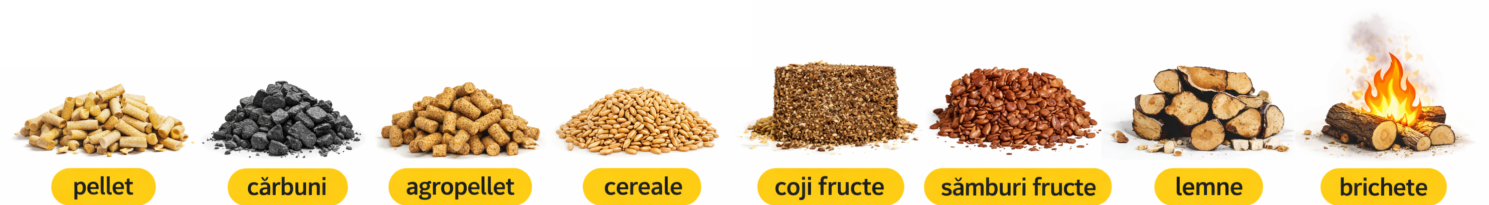combustibili cazane termice
