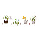 Substrat Dr. Soil, pentru plante carnivore, 1 L