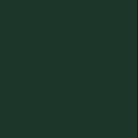 Pal melaminat Egger, color uni, verde brad U699 ST9, 2800 x 2070 x 18 mm