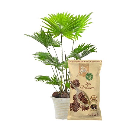 Lava vulcanica Dr. Soil, 1 L