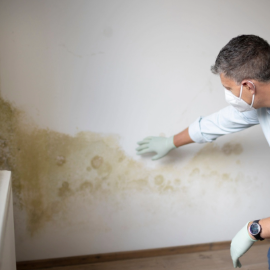 Izolatie interioara antimucegai: solutii eficiente si materiale recomandate 
