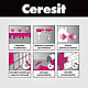 Amorsa perete Ceresit CT 17, interior/exterior, 10 L