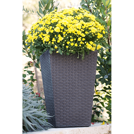 Ghiveci Keter Rattan Planter M, plastic, gri antracit, 38,5 x 38,5 x 57 cm